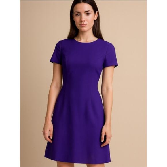 Theory Dresses & Skirts - Theory Good Wool Princess Seam Sheath Mini Dress US 2